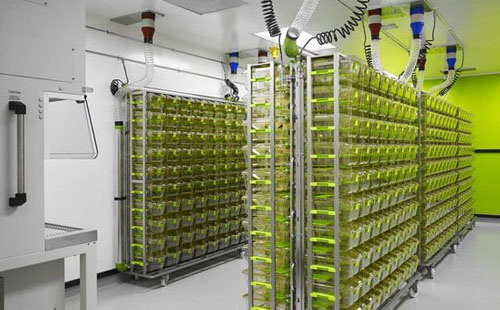 動物房潔凈工程設(shè)計(jì)方案